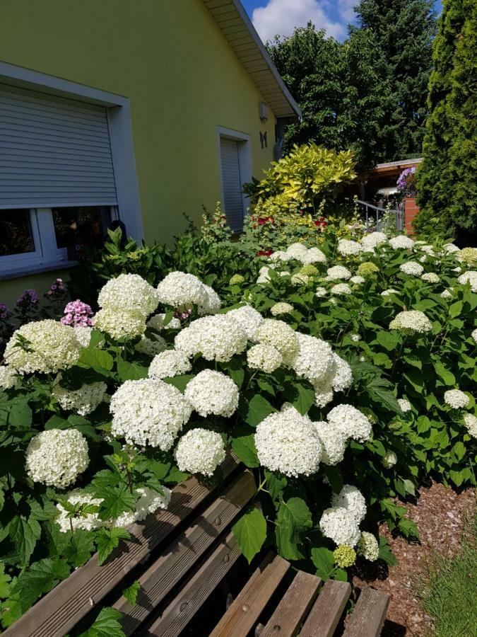 Ferienwohnung Lotte Nuthe-Urstromtal 외부 사진