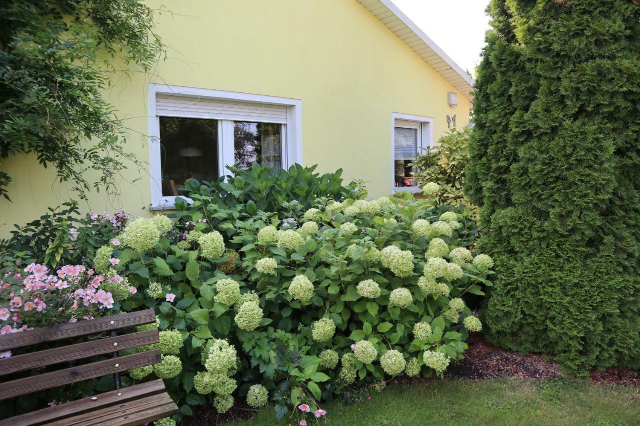 Ferienwohnung Lotte Nuthe-Urstromtal 외부 사진